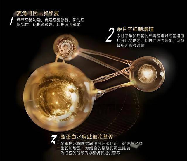 ex外汇平台最新消息掌握这些技巧，轻松选择适合你的量化交易软件排名精选